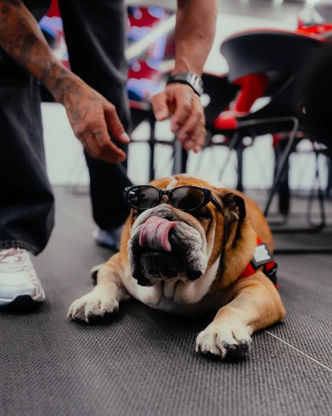 Hamilton vía Instagram