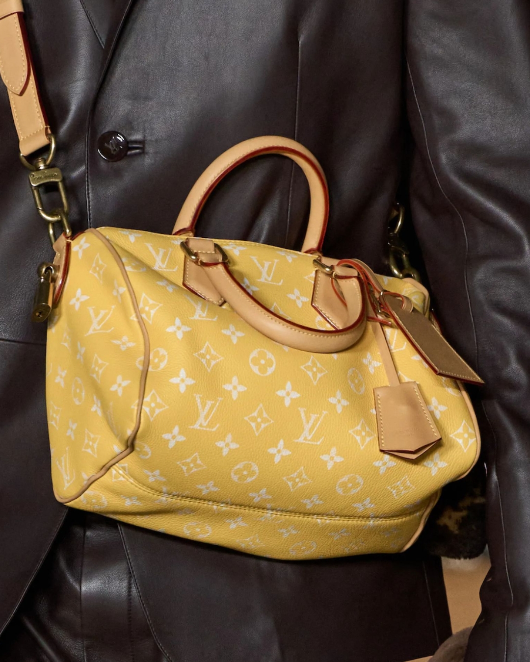 Louis Vuitton Speedy