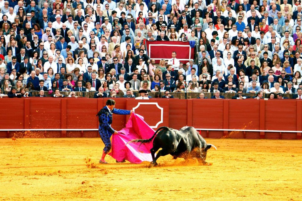 Corrida de Toros en Colombia