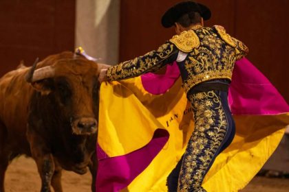 Ley Olé