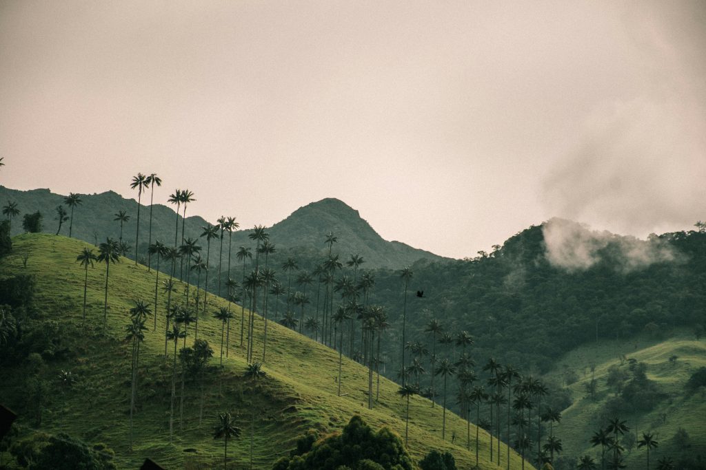 Valle del cocara, Colombia