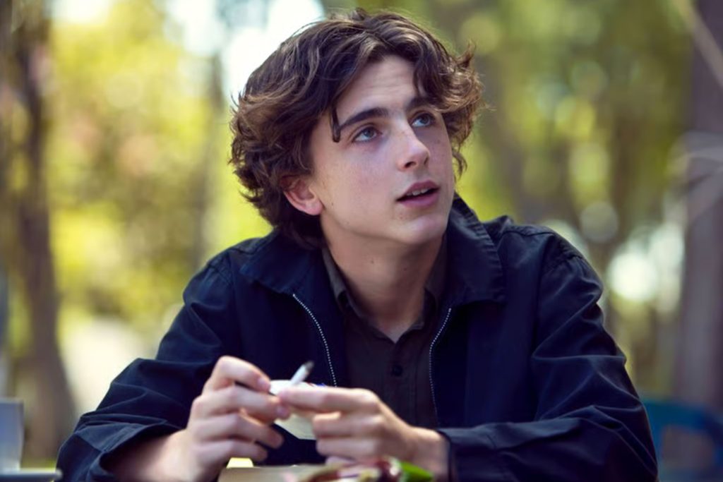 carrera de Timothée Chalamet