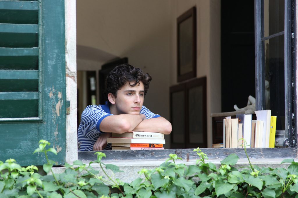 películas de Timothée Chalamet