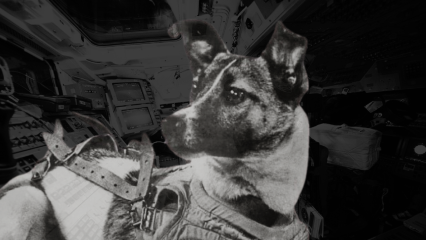 Laika