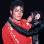 Bubbles, el chimpancé