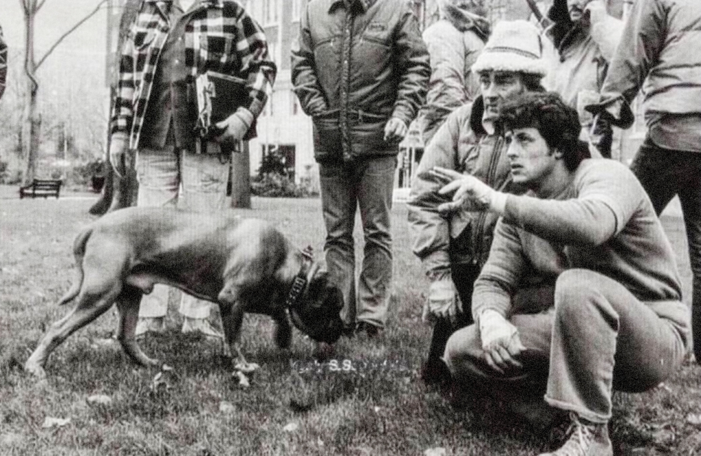 Butkus y Stallone