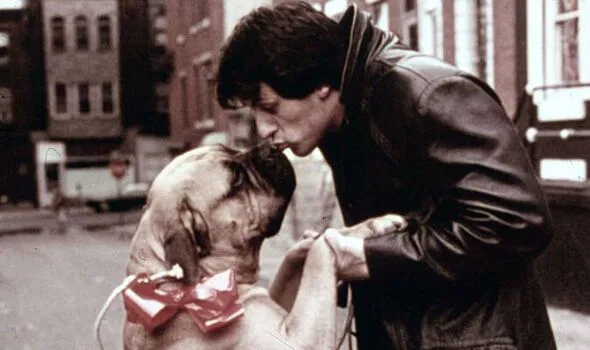 Butkus y Stallone
