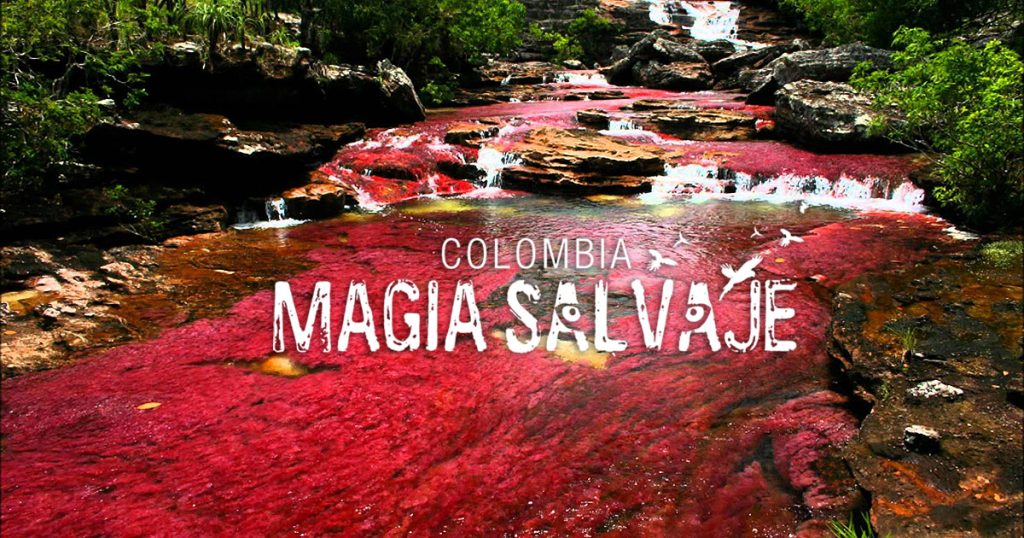 Colombia magia salvaje