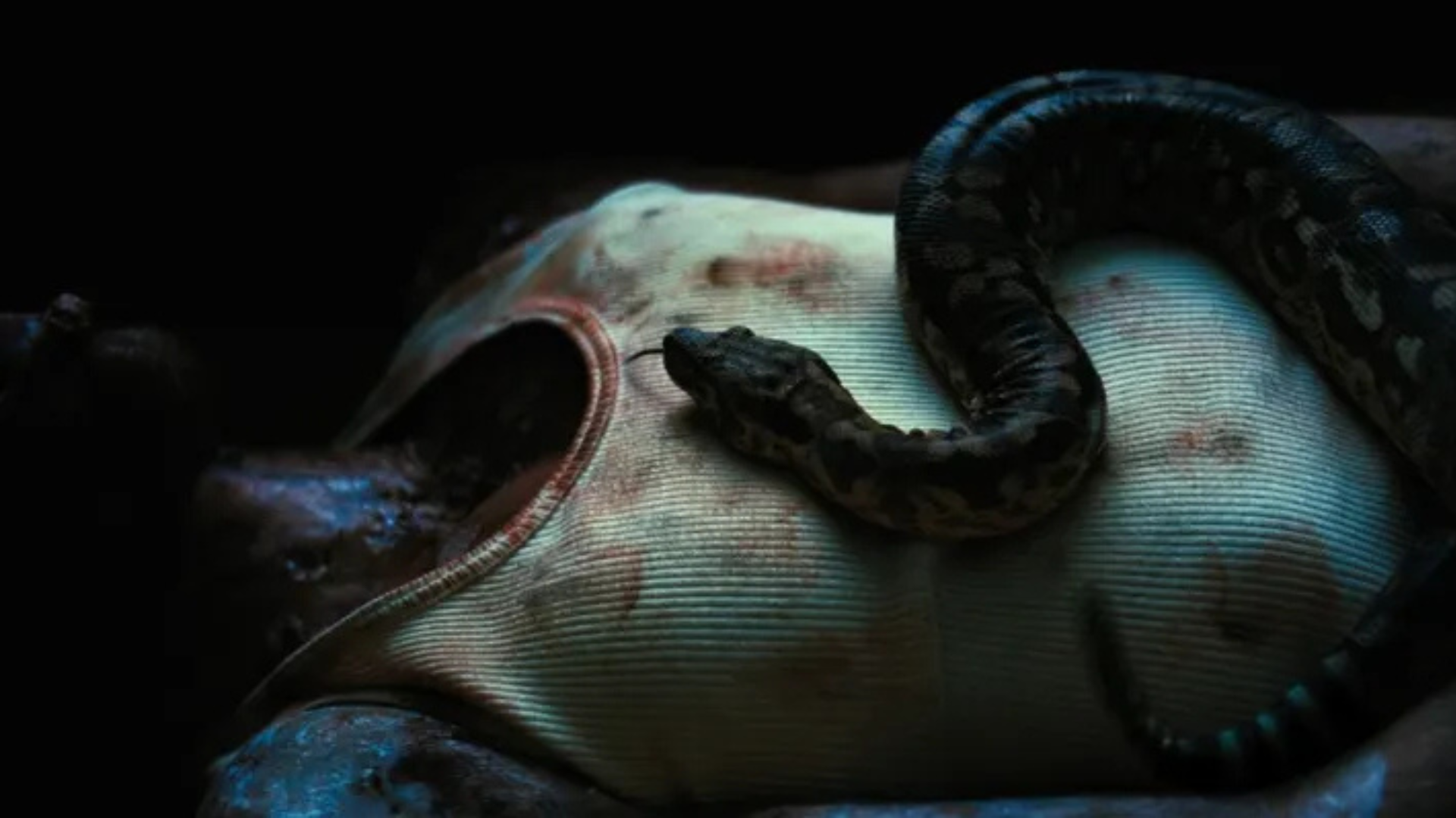 Titan - 2 Piece Onesie & Short set