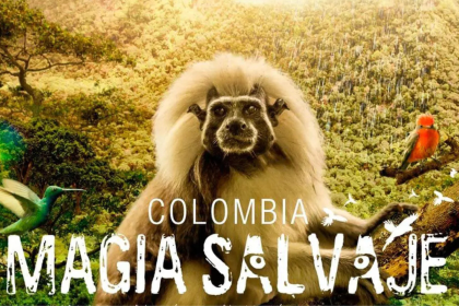 películas colombianas