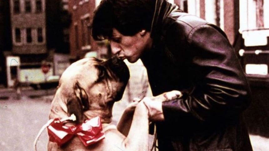 Butkus, el perro de Sylvester Stallone,