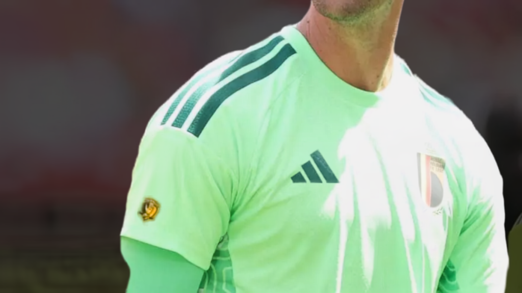El parche Guante de Oro