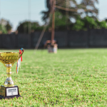 La Copa Mundial de la FIFA